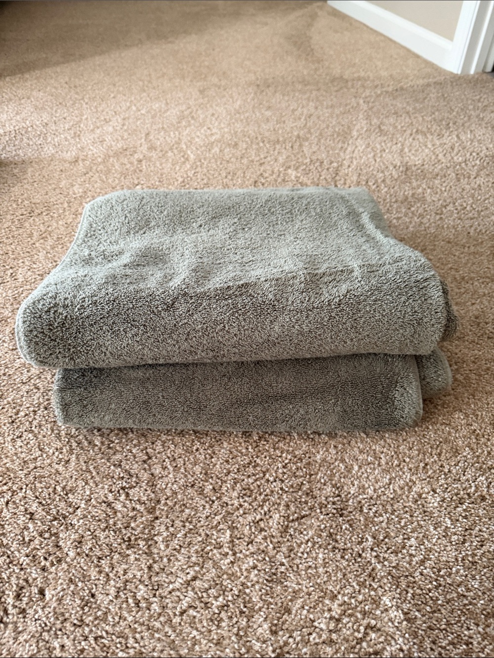 Threshold Gray Plush Bath Towels - Set of 2